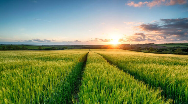 agriland-trade agriland-trade