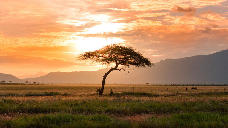 somos-mundo-viajes-exoticos-africa somos-mundo-viajes-exoticos-africa